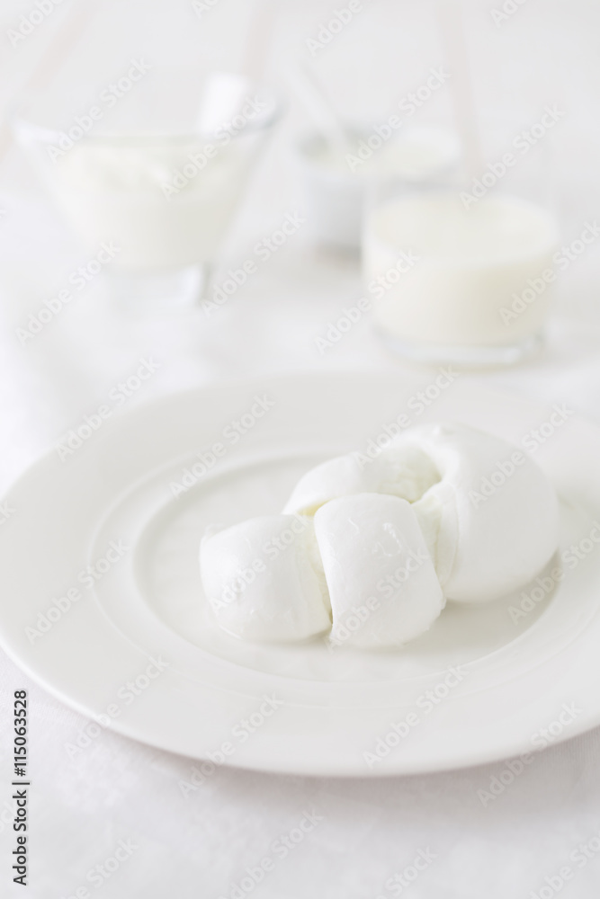 a piece of cheese on a white plate. Photo dairy product in a light key. still life in white. a piece of cheese on a white plate. Photo dairy product in a light key. still life in white.