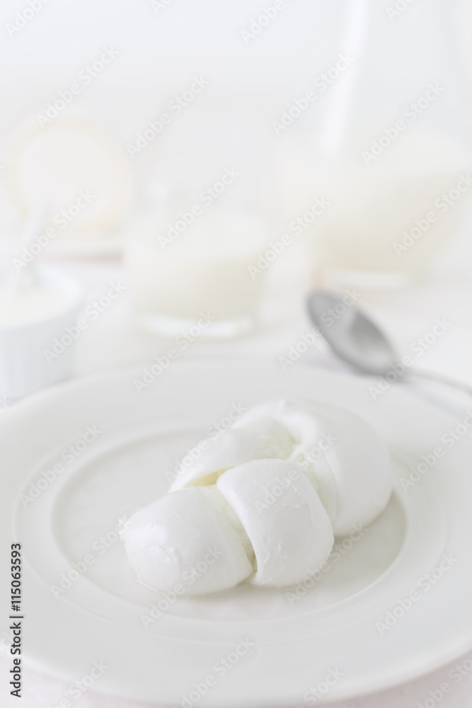 a piece of cheese on a white plate. Photo dairy product in a light key. still life in white. a piece of cheese on a white plate. Photo dairy product in a light key. still life in white.