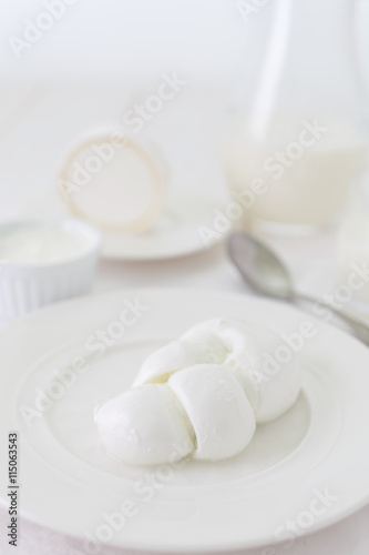 a piece of cheese on a white plate. Photo dairy product in a light key. still life in white.