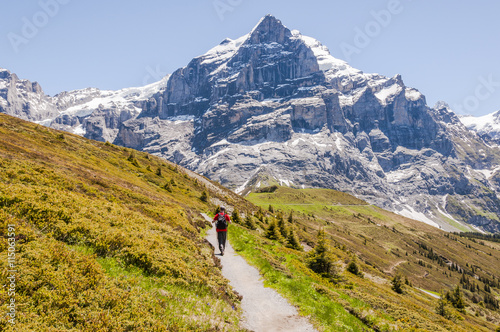 Grindelwald, Alpen, Berner Oberland, Wetterhorn, Grosse Scheidegg, Wanderweg, Wanderer, First, Schweizer Berge, Sommer, Schweiz