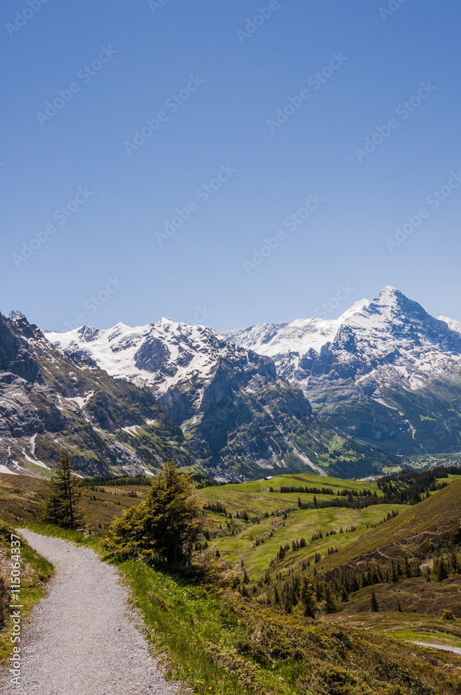 Grindelwald, Berner Oberland, Alpen, Schweizer Berge, Eiger, Schreckhorn, Grosse Scheidegg, First, Höhenweg, Sommer, Schweiz