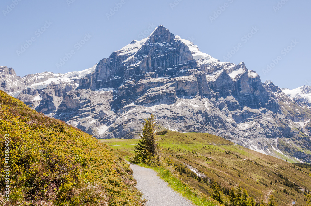 Grindelwald, Grosse Scheidegg, Wetterhorn, Alpen, Schweizer Berge, Wanderweg, Berner Oberland, Sommer, Schweiz