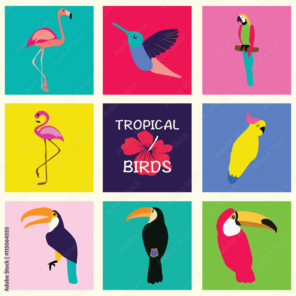 Fototapeta premium Vector hand drawn Tropical Set of birds.
