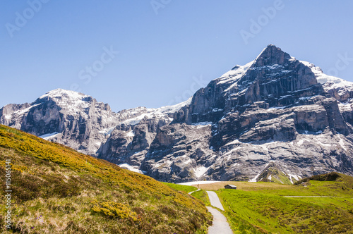 Grindelwald  Alpen  Berner Oberland  Wetterhorn  Engelh  rner  Grosse Scheidegg  First  Wanderweg  Schweizer Berge  Sommer  Schweiz