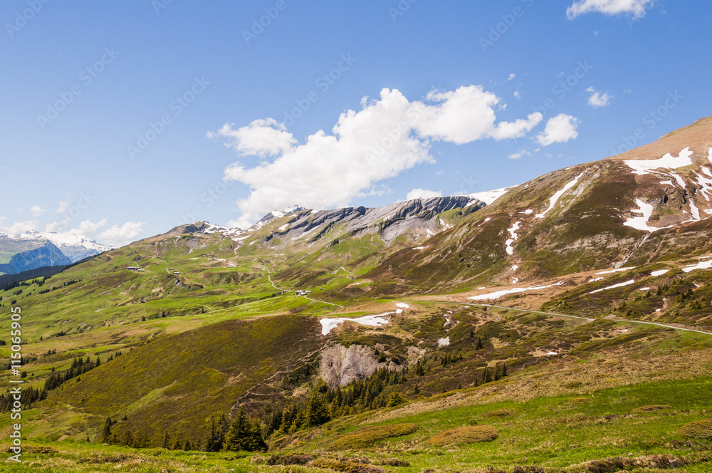 Grindelwald, Berner Oberland, First, Schreckfeld, Wanderweg, Höhenweg, Grosse Scheidegg, Eiger, Alpen, Sommerwanderung, Sommer, Schweiz