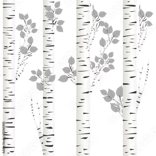 Fototapeta samoprzylepna brzozy tło