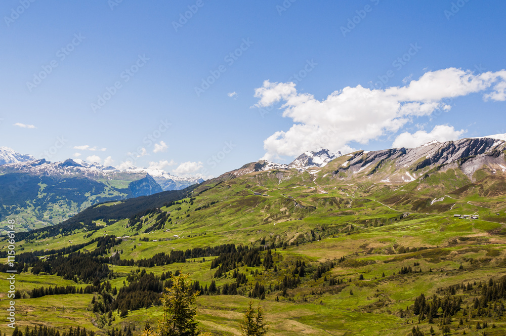 Grindelwald, Berner Oberland, First, Schreckfeld, Alpen, Wanderweg, Höhenweg, Grosse Scheidegg, Sommerwanderung, Schweizer Berge, Sommer, Schweiz