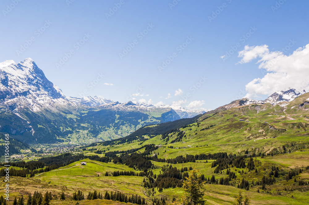 Grindelwald, Berner Oberland, First, Waldspitz, Bergbahn, Eiger, Kleine Scheidegg, Wanderweg, Wanderferien, Alpen, Sommer, Schweiz