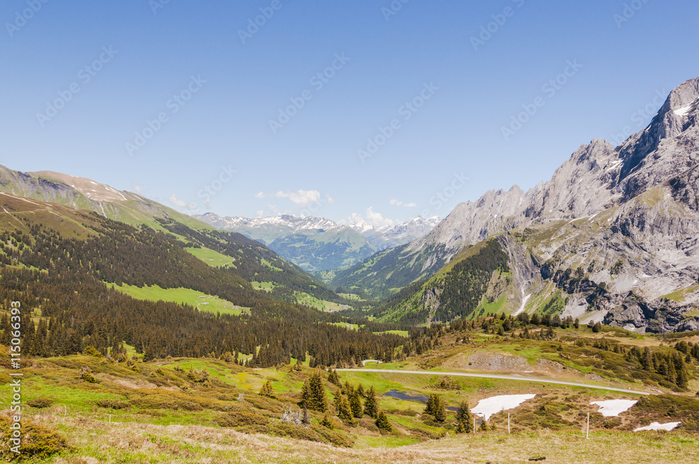 Grindelwald, Berner Oberland, Alpen, Grosse Scheidegg, Rosenlaui, Engelhörner, Schlucht, Meiringen, Wanderweg, Schweizer Berge, Sommer, Schweiz