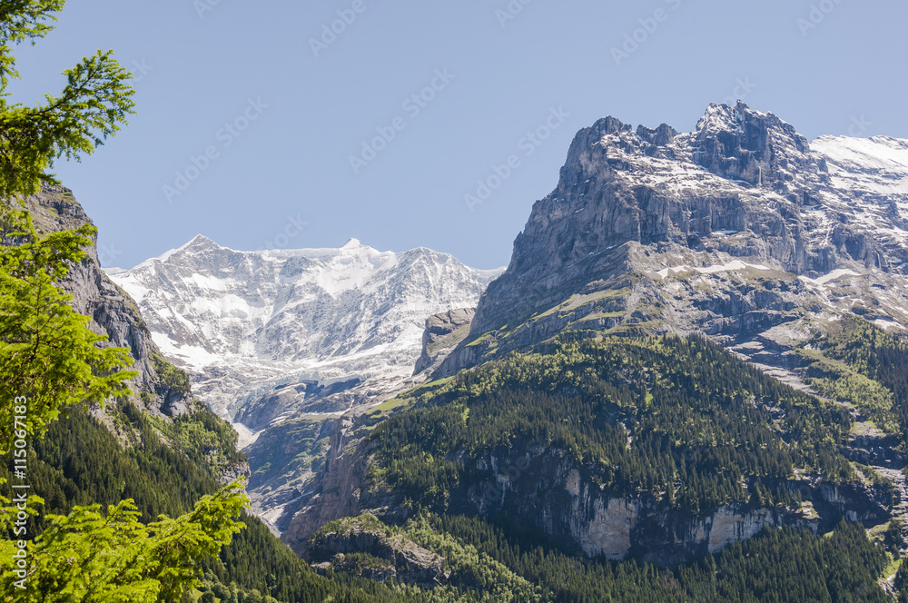 Grindelwald, Dorf, Bergdorf, Eiger, Eigernordwand, Fiescherhörner, Finsteraarhorn, Alpen, Schweizer Berge, Berner Oberland, Wanderferien, Sommer, Schweiz