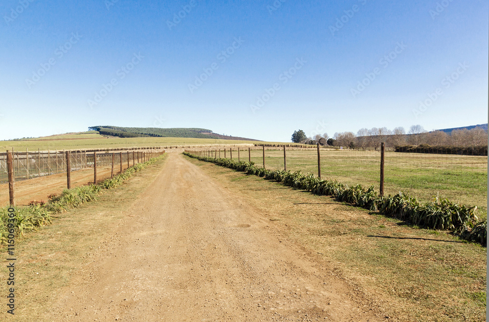 Fenced Rural Farm Dirt Road Running Next to Meadow