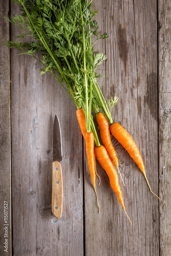 Carrots on old boards photo
