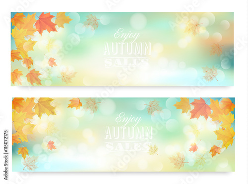 Enjoy autumn sales banners with colorful leaves. Vector.