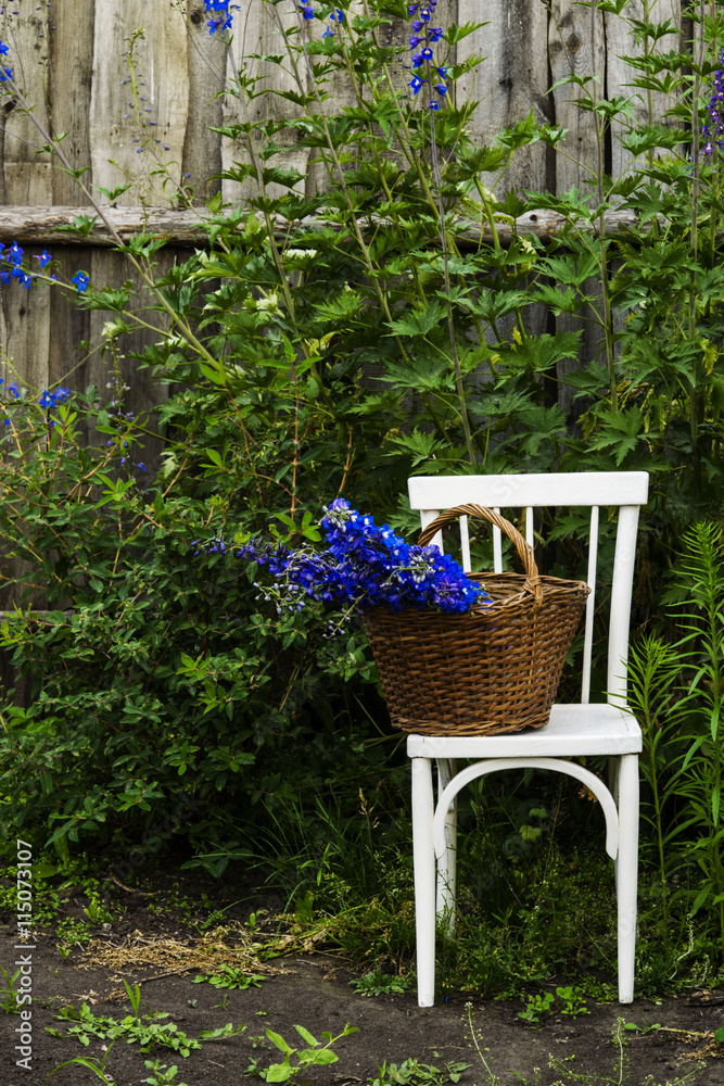 Vintage white chair with a basket of blue flowers in a garden on a background of green plants 