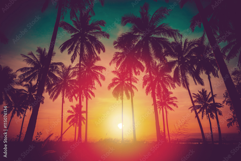 Naklejka premium Sylwetka palmy kokosowe na plaży o zachodzie słońca. Ton vintage.