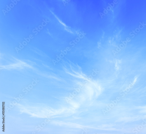World environment day concept: Abstract white cloudy and blue sky in sunny day.
