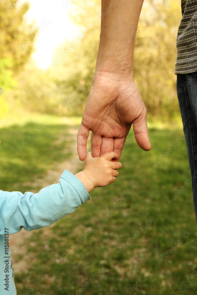 parent holds the hand of a small child parent holds the hand of a small child