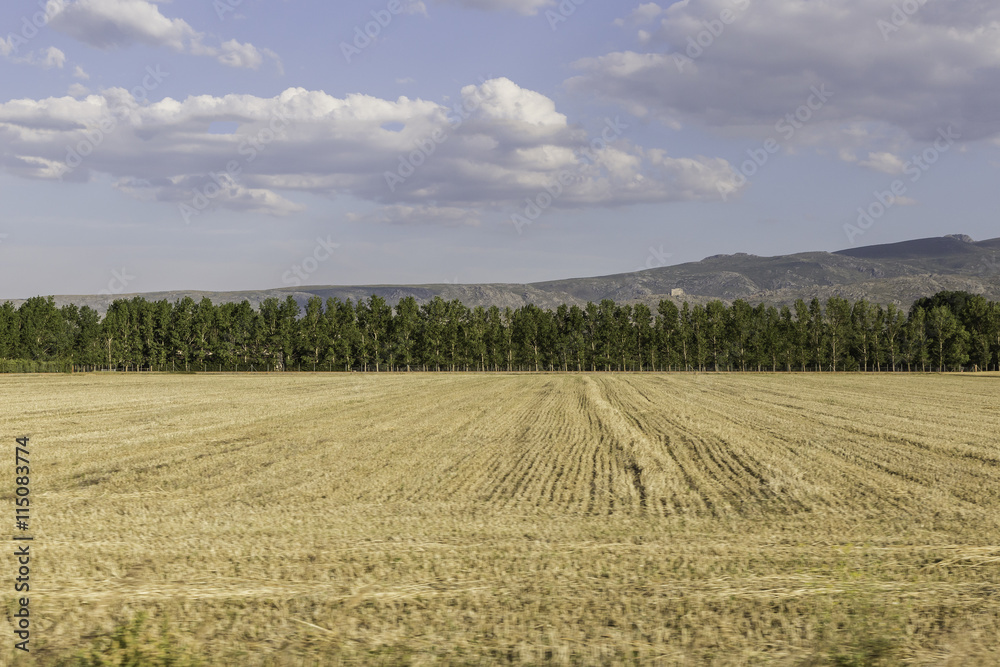 view of a landscape of fields cultivated captured from a car
