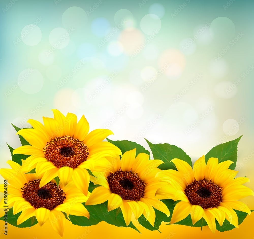 Obraz premium Sunflowers Background With Sunflower And Leaves. Vector.