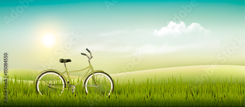Summer meadow landscape with a bicycle. Vector.