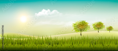 Beautiful summer countryside landscape background. Vector.