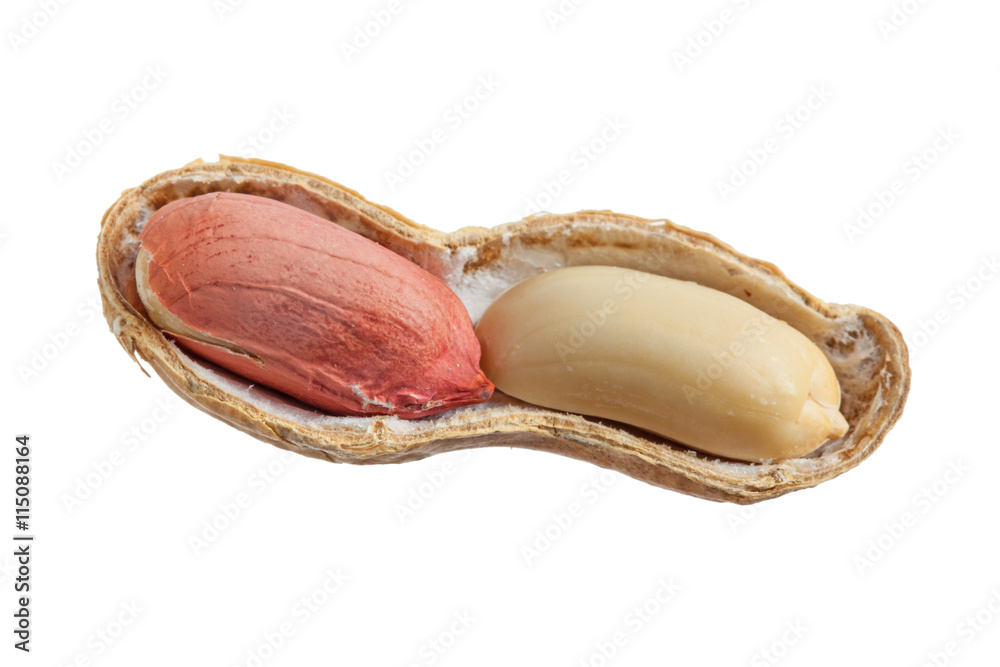 Peanuts isolated on white background Peanuts isolated on white background