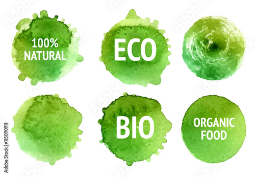 Vector natural, organic food, bio, eco labels and shapes on white background. Hand drawn stains set.