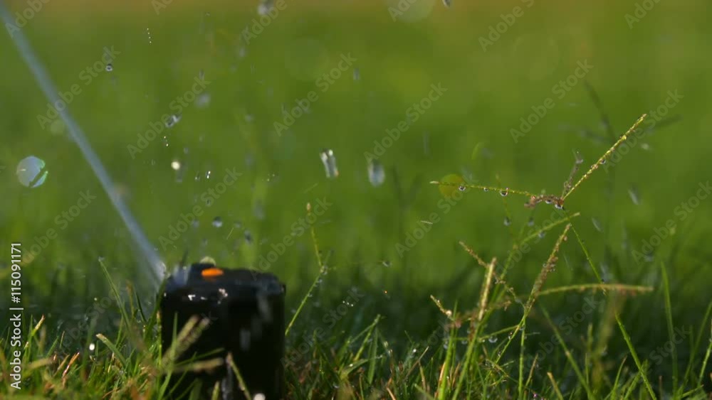 Water Sprinkler Pop Up Slow Motion. a slow motion shot of an irrigation system sprinkler starting and popping up out of the ground to water the grass
