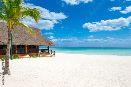  beach and tropical sea