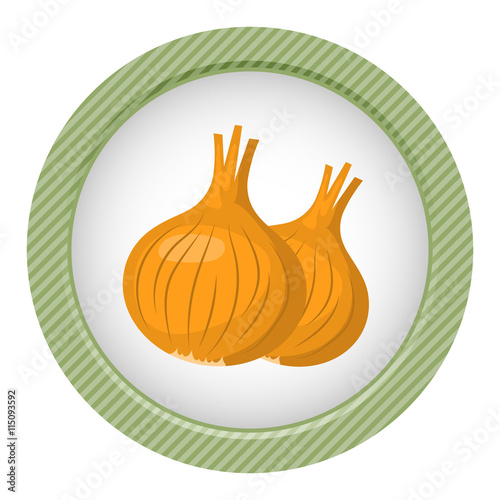 Onion colorful icon