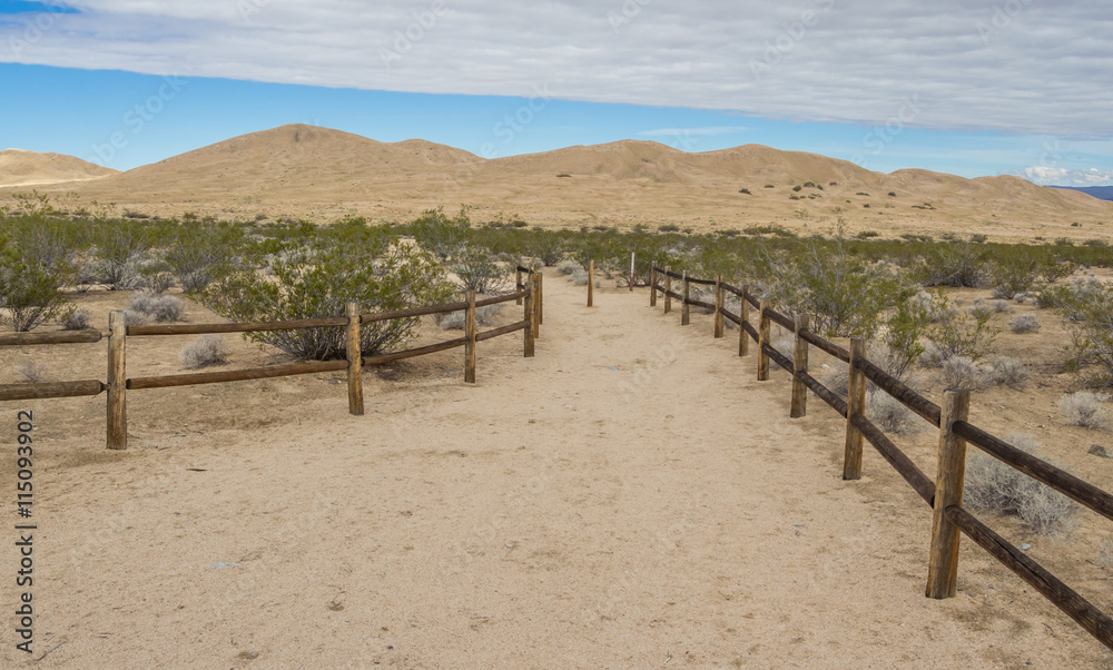 Kelso sand dunes in the Mojave National Preserve
