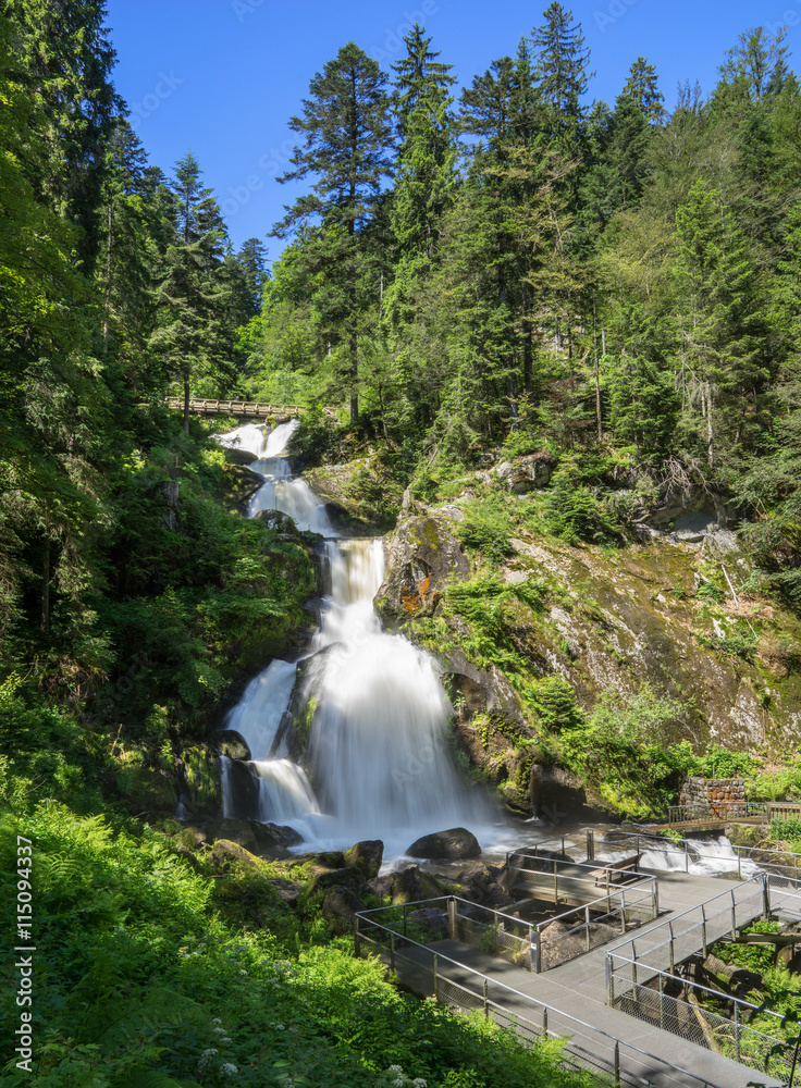 Fototapeta premium Triberger Wasserfälle im Sommer - untere 4 der 7 Hauptstufen 