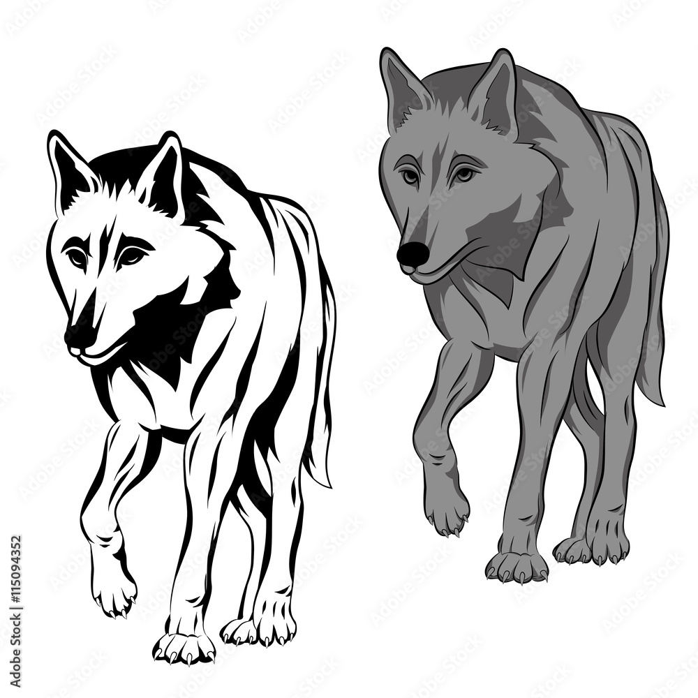 Fototapeta premium adult wolf is realistic vector illustration black silhouette set