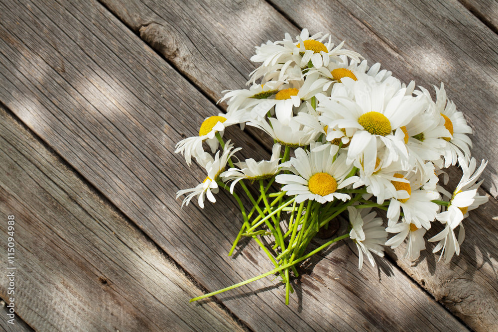 Obraz premium Daisy chamomile flowers on wood