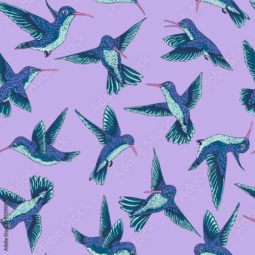 vector seamless flying little birds of paradise conversational pattern, spring summer time, gentle romantic humming-bird, colibri background allover print design