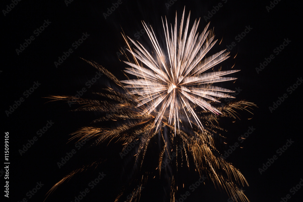 Obraz premium Fireworks celebration
