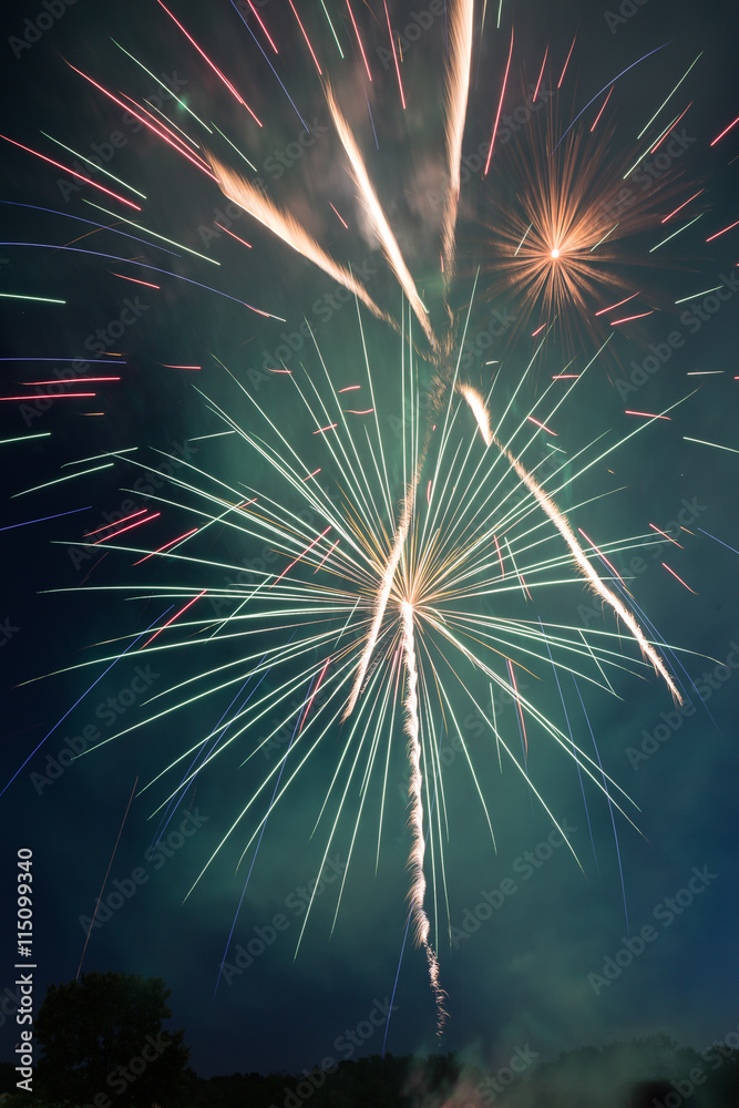 Obraz premium Fireworks celebration