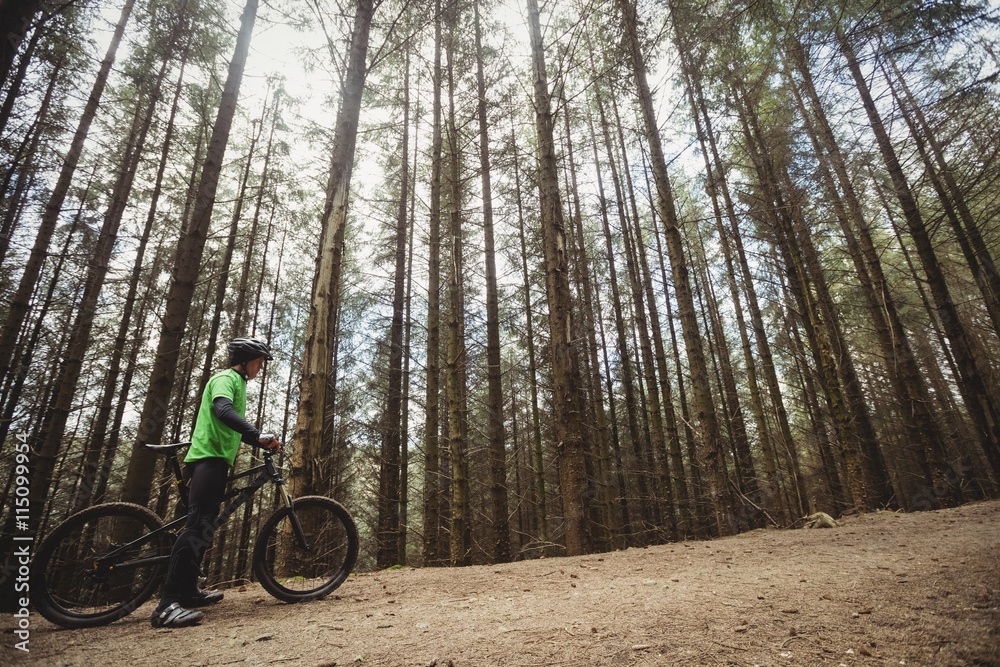 Low angle view of mountain biker in forest Low angle view of mountain biker in forest