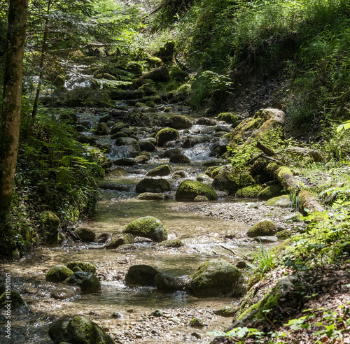 Bach mit Wasserfall photo