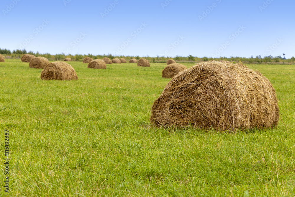 Stacks in the field Stacks in the field