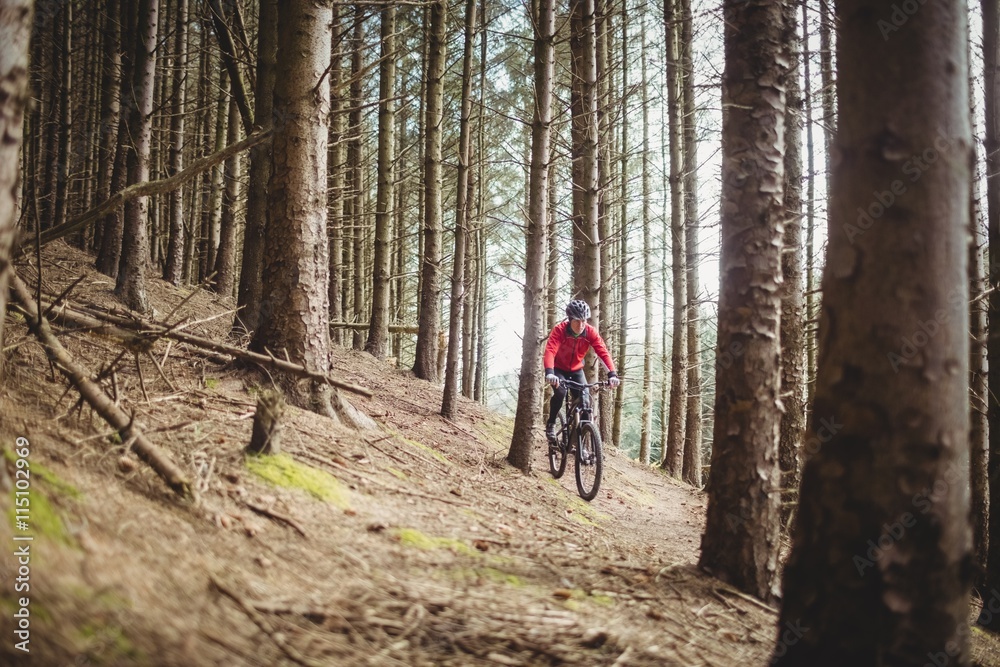 Full length of mountain biker in woodland Full length of mountain biker in woodland