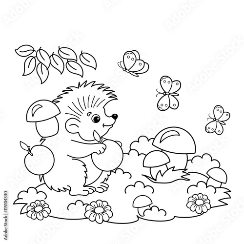 Coloring Page Outline Of cartoon hedgehog with apples and mushrooms in the meadow with butterflies. Coloring book for kids