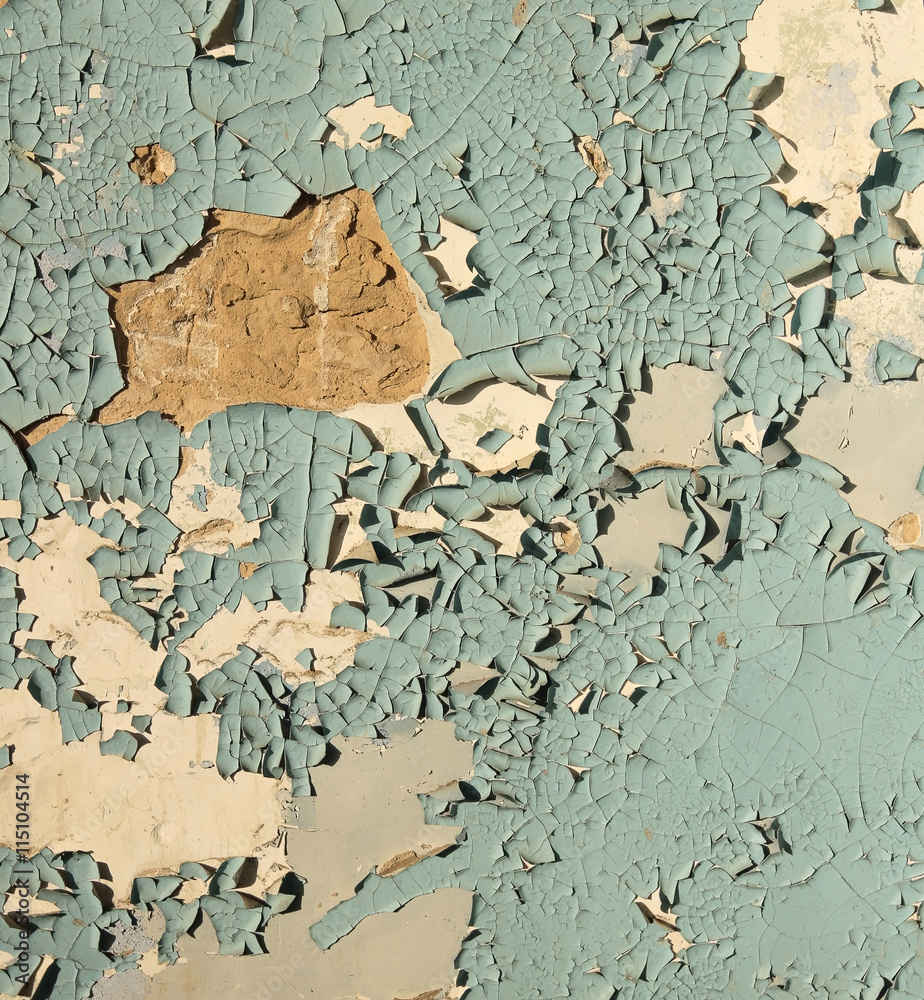 old cracked paint. / Old cracked paint blue on top of a white wall, in some places completely flown away, side lighting sunlight old cracked paint. / Old cracked paint blue on top of a white wall, in some places completely flown away, side lighting sunlight