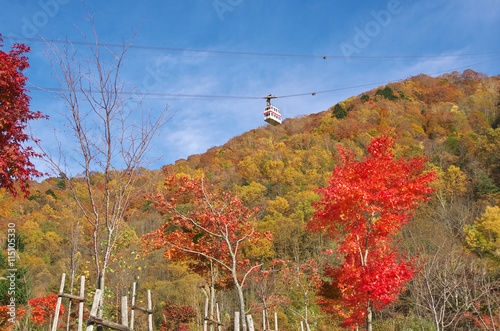 Photos Japan Alps,Shinhotaka Ropeway and Fall foliage