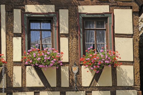 Blumenfenster an einem Haus in Marktbreit