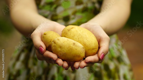 Woman holding a young potatoes