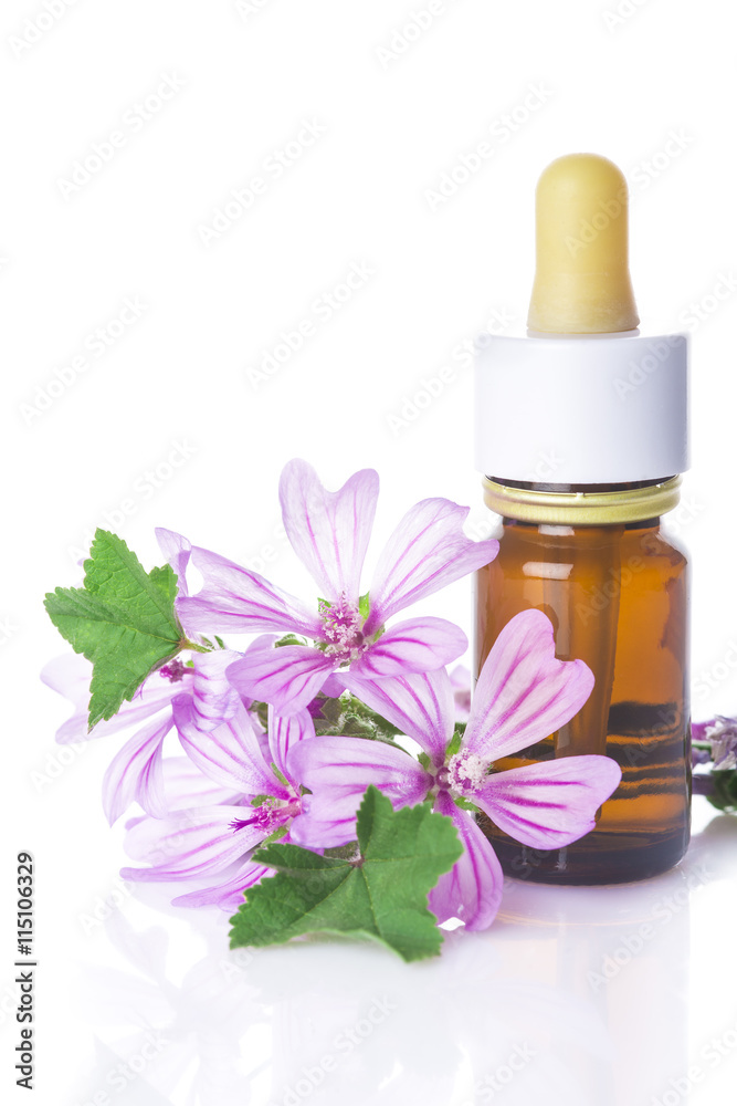 Flores de malva y bote con aceites esenciales para medicinas alternativas aislado en fondo blanco Flores de malva y bote con aceites esenciales para medicinas alternativas aislado en fondo blanco