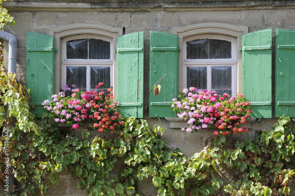 Blumenfenster