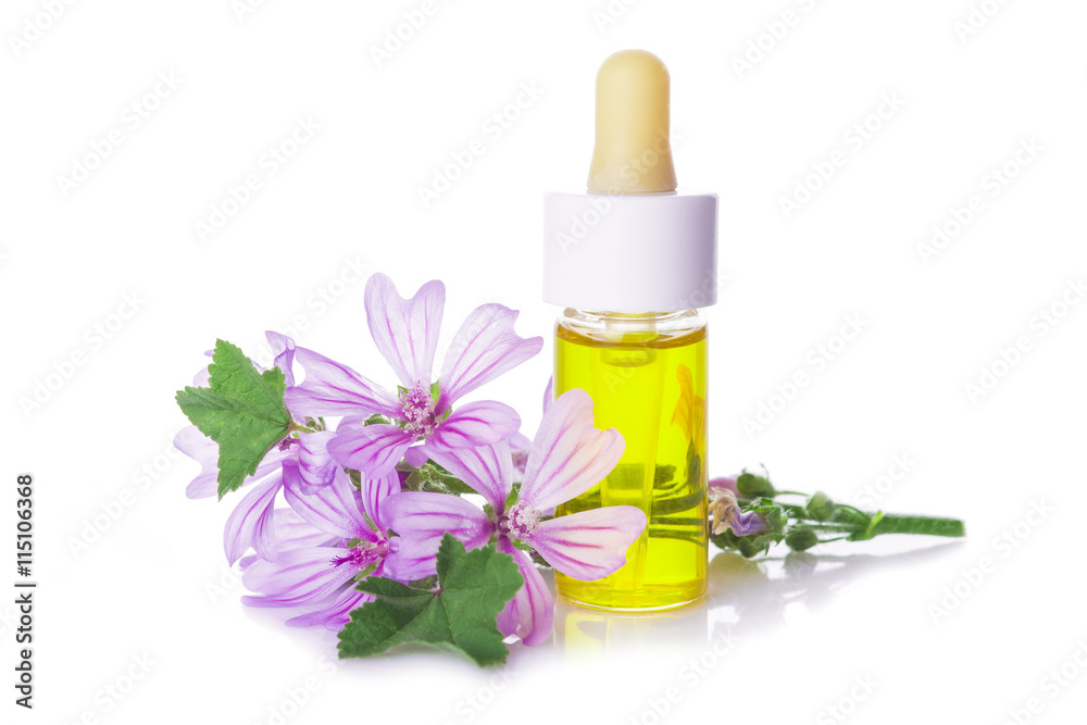 Flores de malva y bote con aceites esenciales para medicinas alternativas aislado en fondo blanco Flores de malva y bote con aceites esenciales para medicinas alternativas aislado en fondo blanco