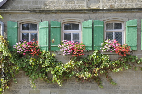 Blumenfenster